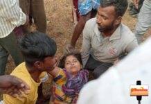 नरभक्षी वाघाच्या हल्यात महिला गंभीर जख्मी…
