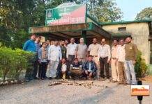 पुराडा वन क्षेत्र में तेंदुए का शिकार.. वन विभाग द्वारा आरोपी के पास से चमड़ा, 9 नाखून जब्त…