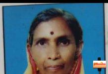 आरमोरीत दहशत — वाघाच्या हल्ल्यात कुंदा खुशाल मेश्राम यांचा मृत्यू; माकप-शेकापचा आरोप: “वनविभागाने दुर्लक्ष केला!”