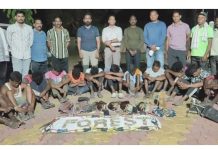 आलापल्ली जंगलात संघटित शिकारीचा मोठा पर्दाफाश; १२ जण अटकेत, कारवाईतूनच यंत्रणेवर गंभीर प्रश्न…