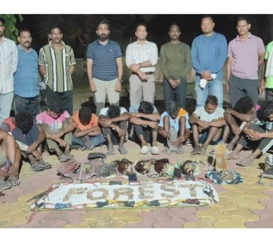 आलापल्ली जंगलात संघटित शिकारीचा मोठा पर्दाफाश; १२ जण अटकेत, कारवाईतूनच यंत्रणेवर गंभीर प्रश्न…