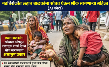 कारवाईनंतरही पुन्हा रस्त्यावर भीक मागताना महिला; गडचिरोलीत कठोर कारवाईची जोरदार मागणी…