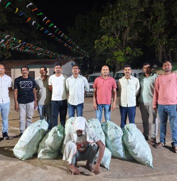 गडचिरोली पोलिसांची मोठी कारवाई : अवैध गांजा लागवड प्रकरणात आरोपी अटकेत, 27.25 लाखांचा मुद्देमाल जप्त…